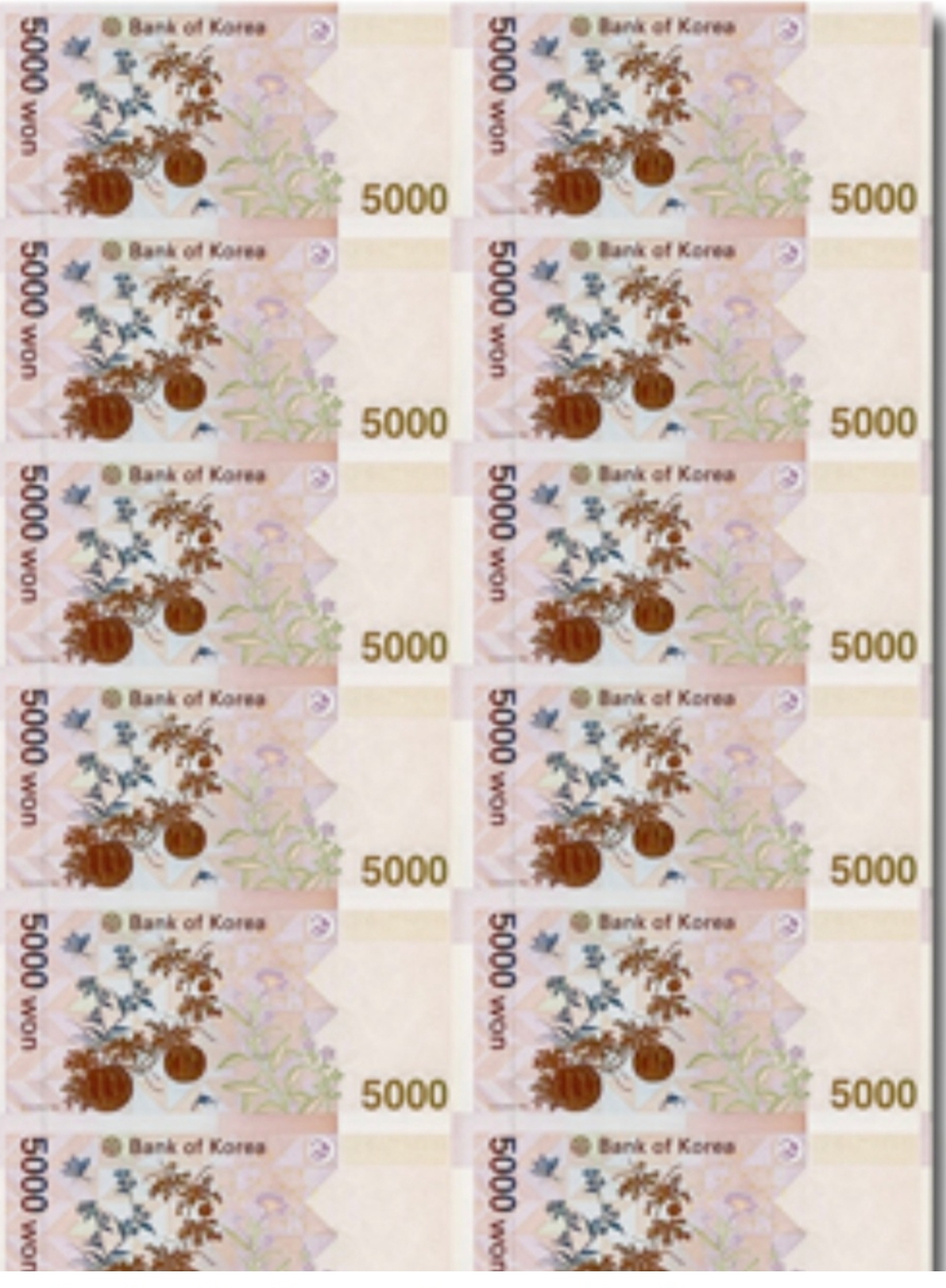 한국은행권5,000원권 16장 전지
