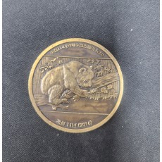 화폐모인카폐 코인(2016년)