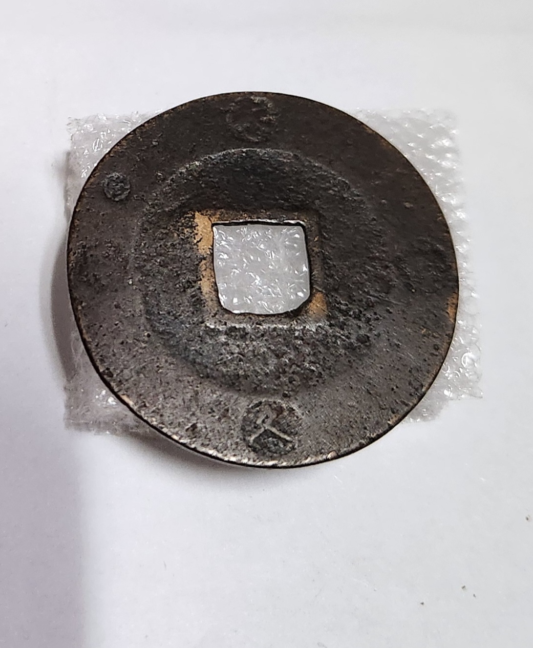 보영통보1점/일본주화의 꽃