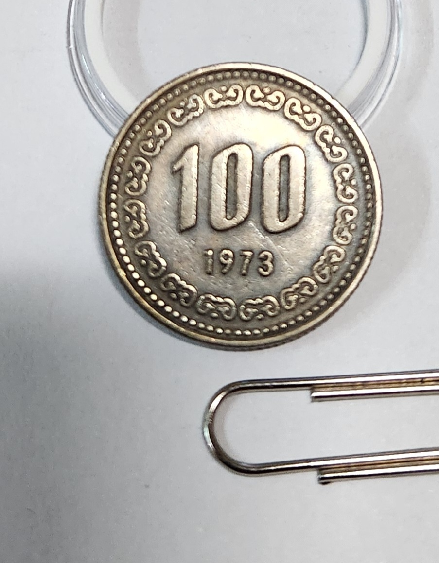 1973년 100주 준미급
