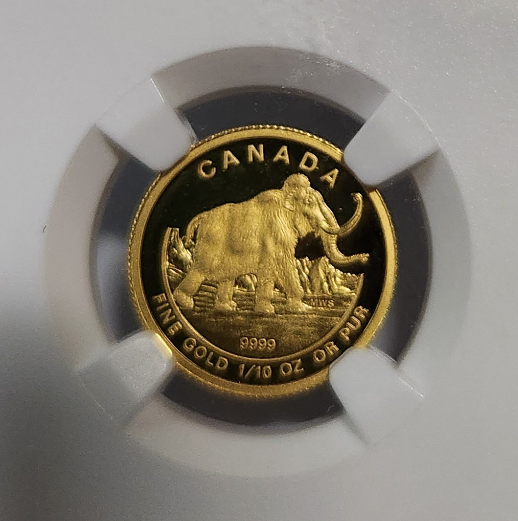 2014년 캐나다 맘모스5달러/금화/PF70