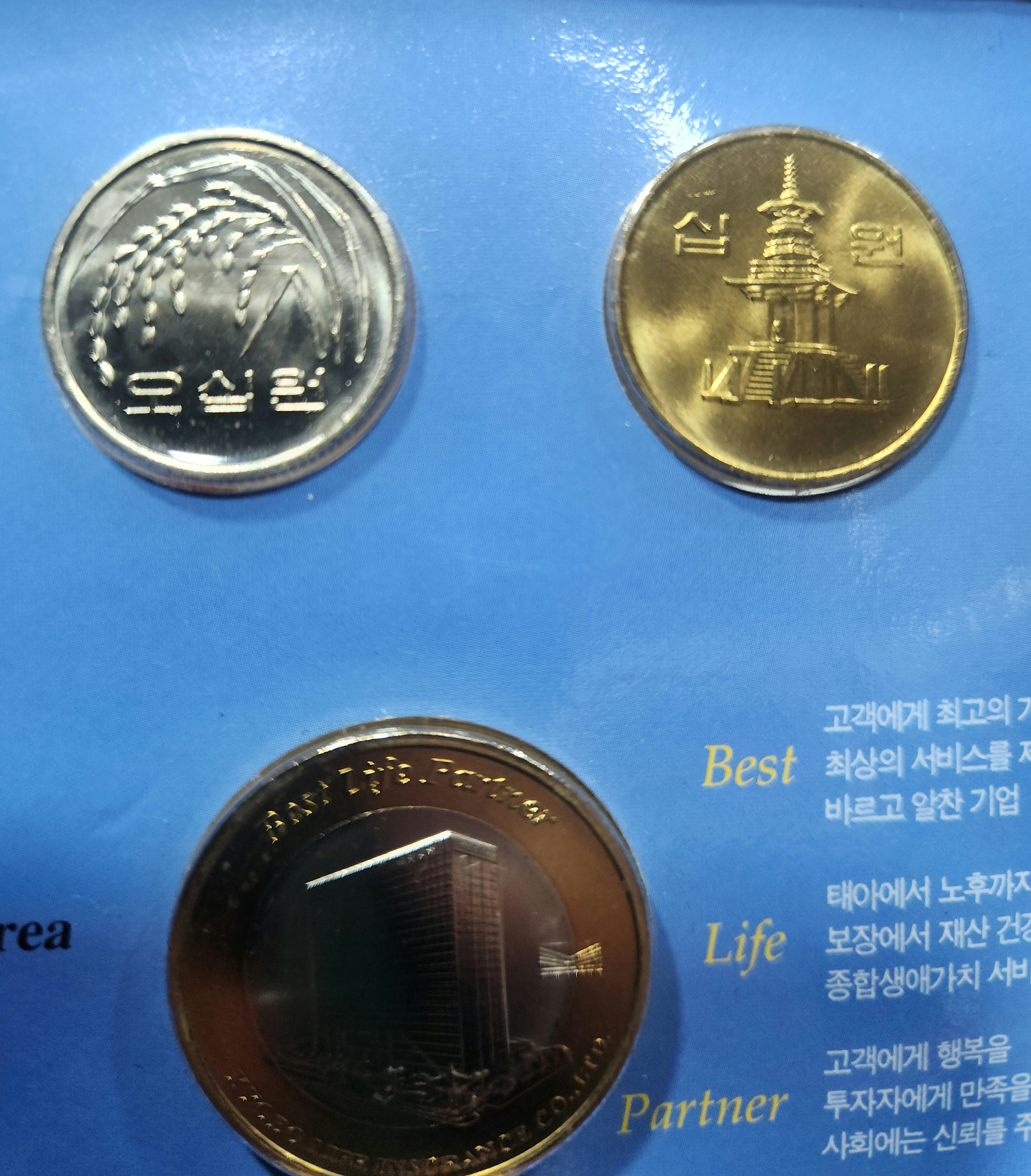 교보생명 민트 2001년